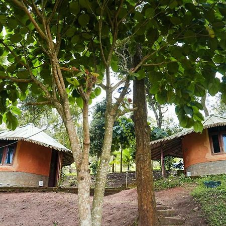 Punarjani Ayurvedic Resorts Ramakkalmedu Exterior photo