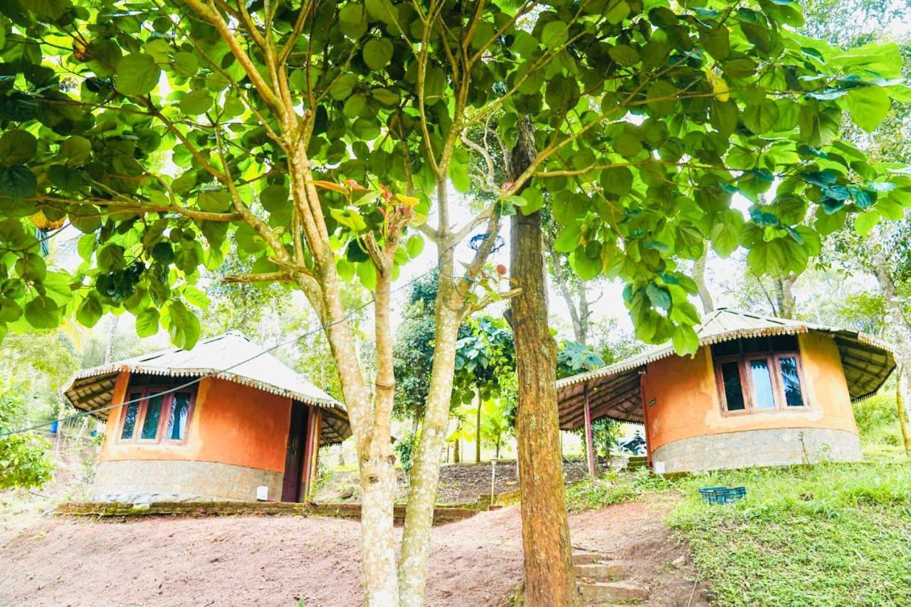 Punarjani Ayurvedic Resorts Ramakkalmedu Exterior photo